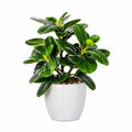 Pianta Artificiale con Foglie Verdi in Vaso 30 cm