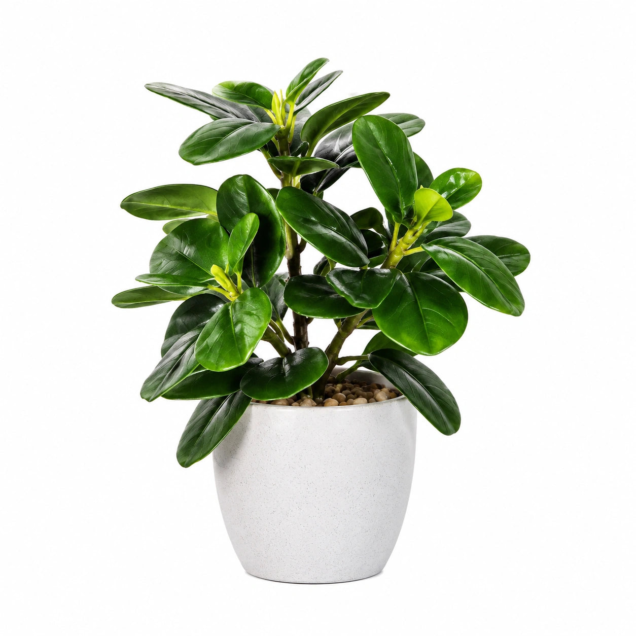 Pianta Artificiale con Foglie Verdi in Vaso 30 cm