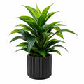 Pianta artificiale ornamentale 60 cm verde con vaso nero