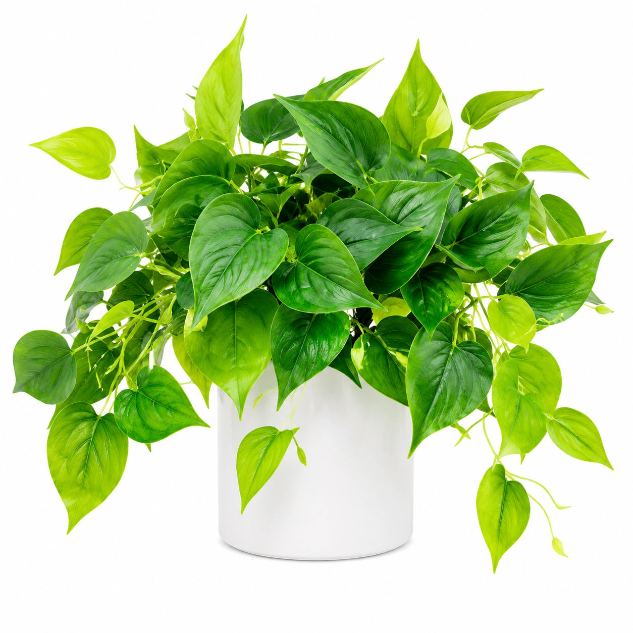Pianta artificiale verde con vaso bianco per interni, 45 cm